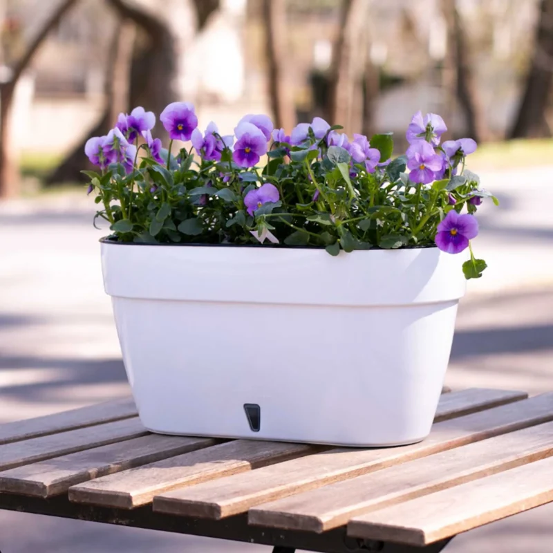 <p>The special self-watering system helps plants to always have the right amount of water.<span class="Apple-converted-space"> </span> Transparent window built into the base of the planter allows for comfortable care and easy control of the water level.<span class="Apple-converted-space"> </span> Your plant will stay healthy for up to four weeks after watering. This recycled plastic pot is easy and comfortable to use, easy to clean and retains moisture for a relatively long period of time. It's made with UV-resistant materials and won't leak water.<span class="Apple-converted-space"> </span> The Asti self-watering pot is one of the most used by professionals and gardening enthusiasts.<span class="Apple-converted-space"> </span></p>